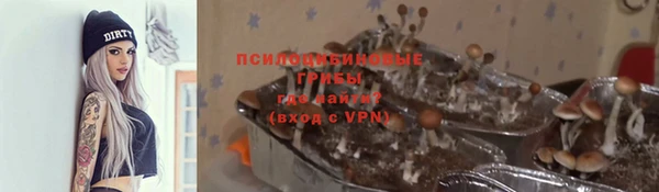 тгк Волоколамск
