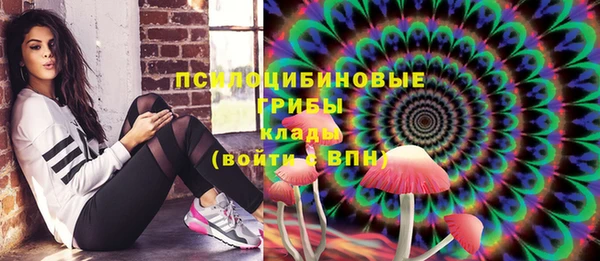 гидра Сафоново